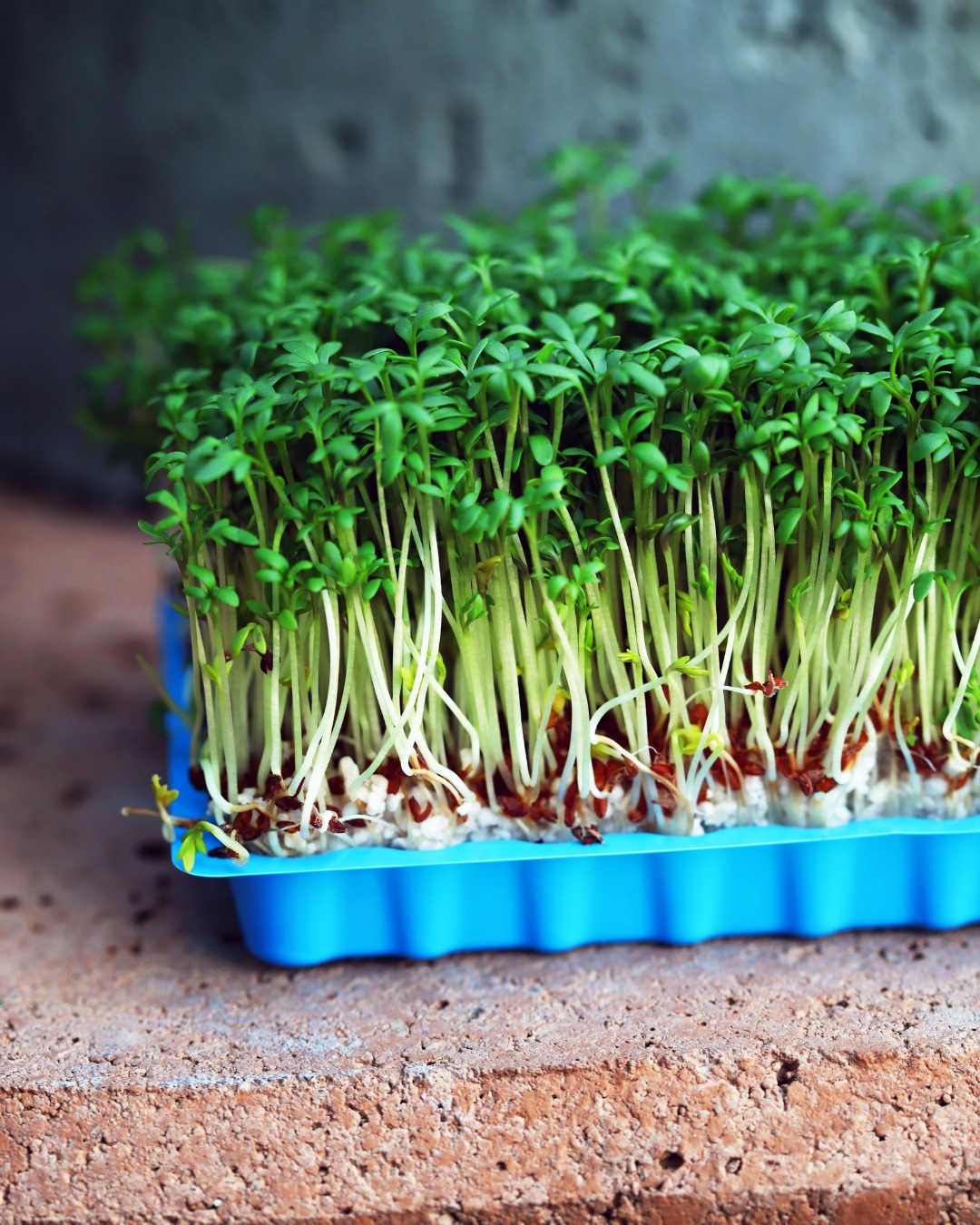 L'AVENIR <br><span class="text-transparent bg-clip-text bg-gradient-to-r from-white to-indigo-200">DU RETAIL.</span>